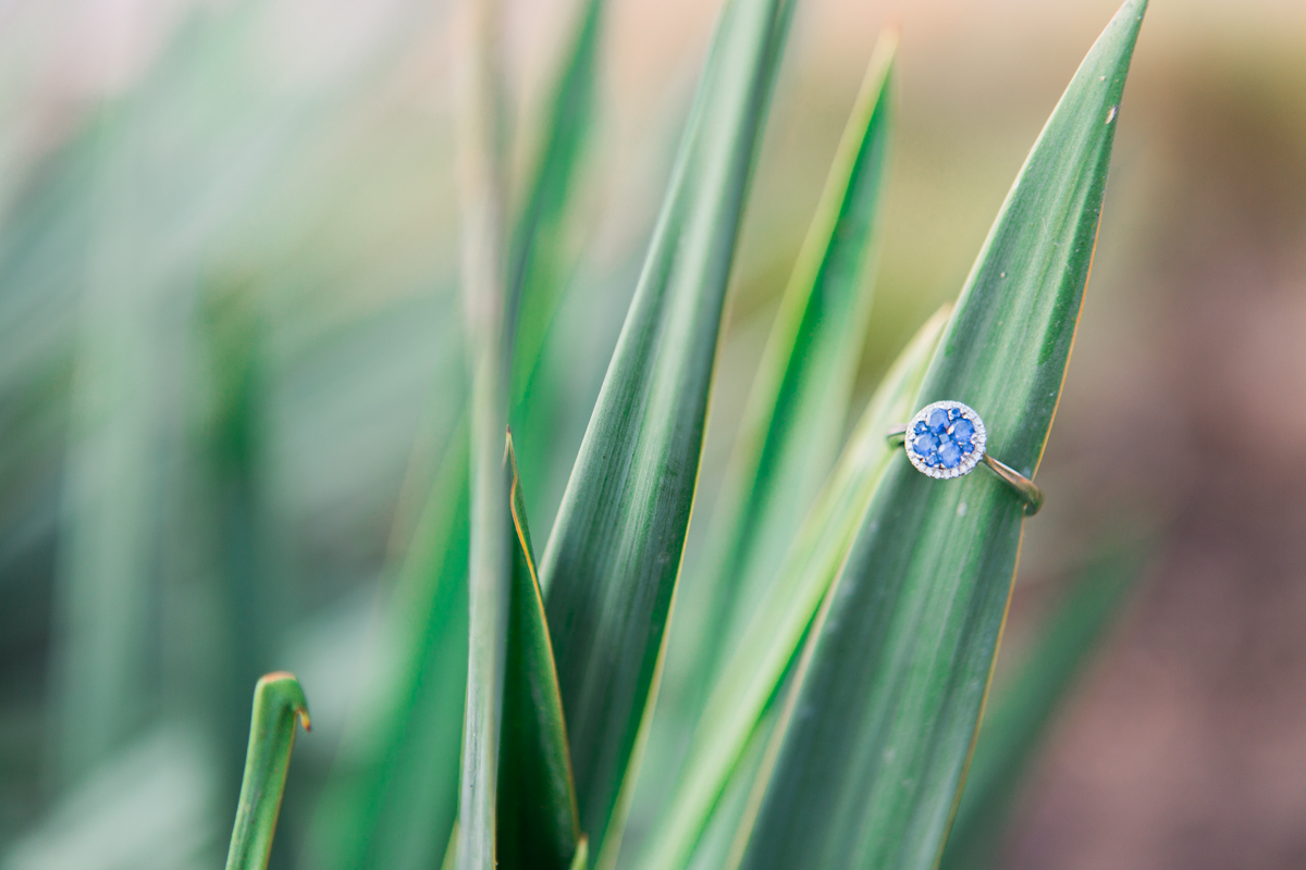Brooke and Cole's Austin, Texas Engagement Photos at Auditorium