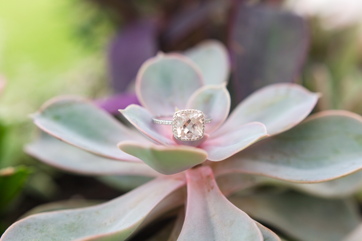 austin wedding photographer