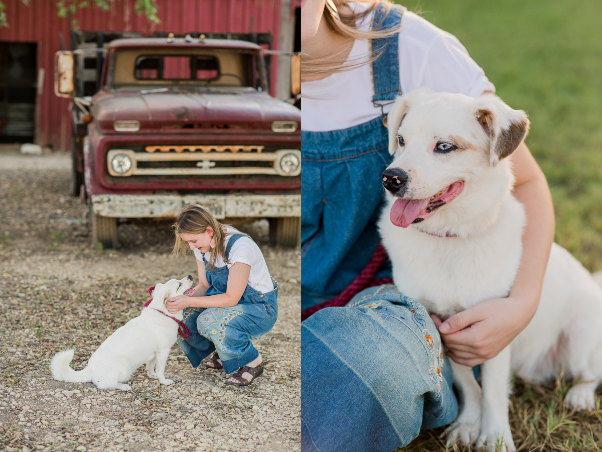 Dog Senior Pictures