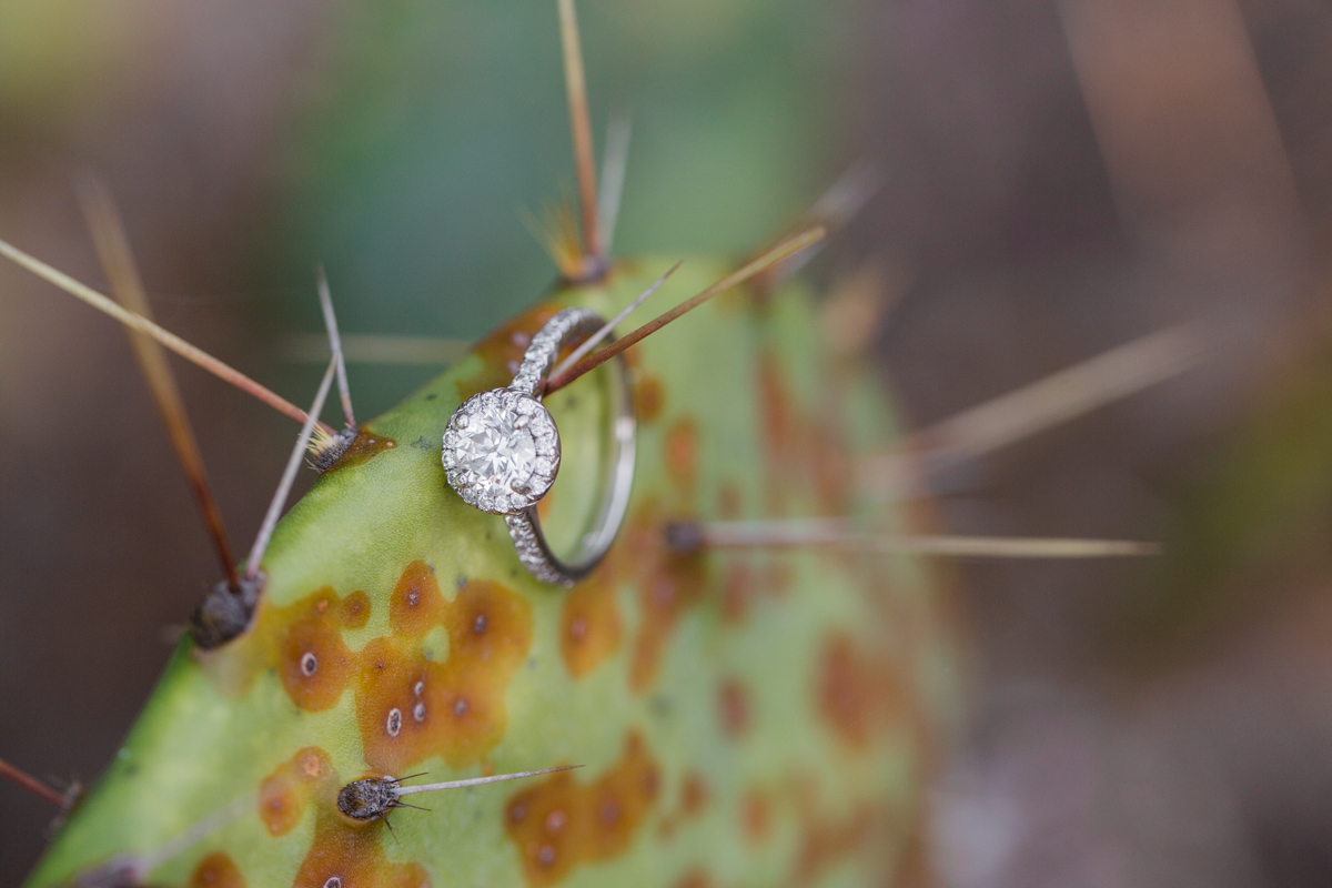 engagement ring detail on cactus