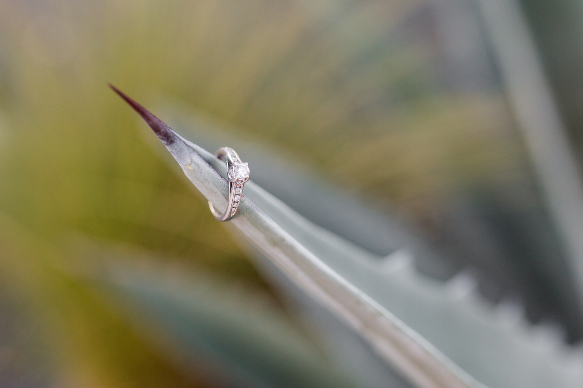 cactus engagement ring detail