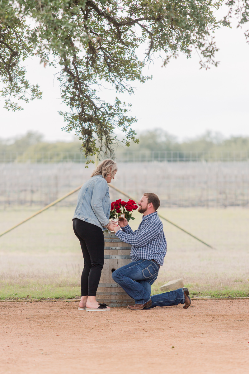 Duchman Winery Proposal Photos