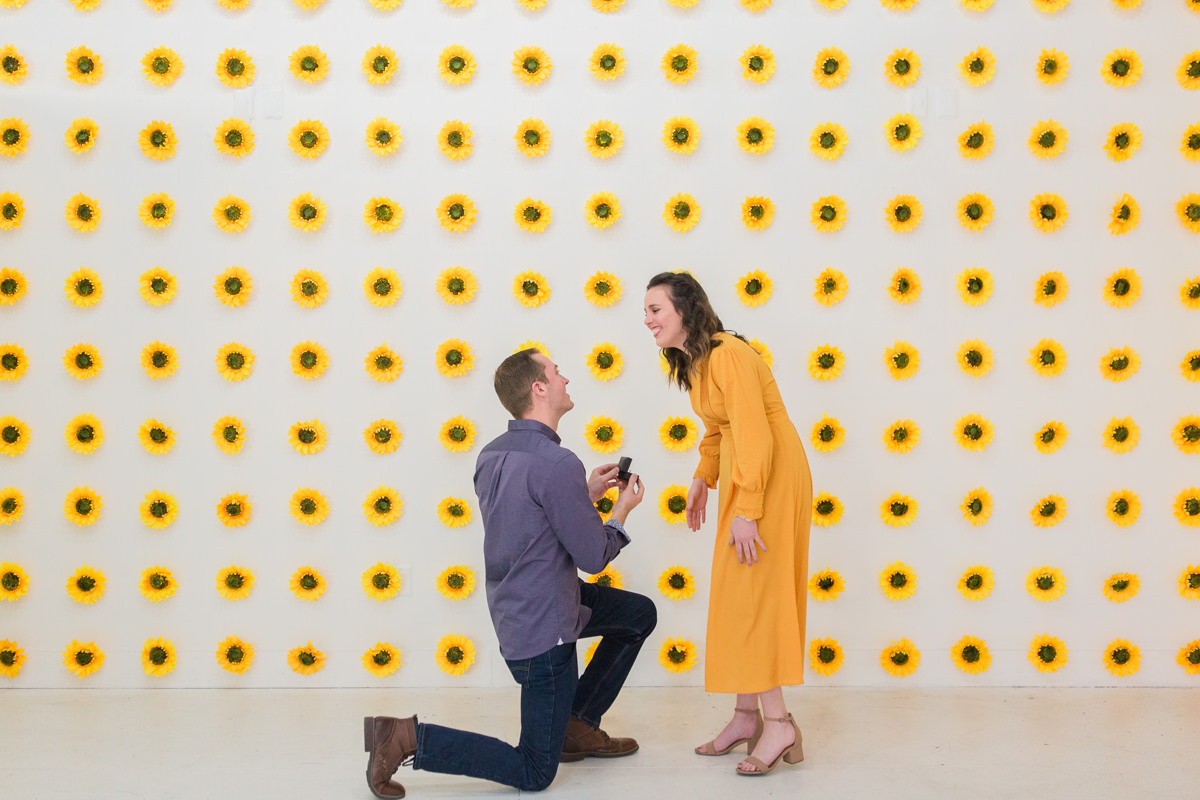 Flower Vault Sunflower Wall Austin Proposal Photos