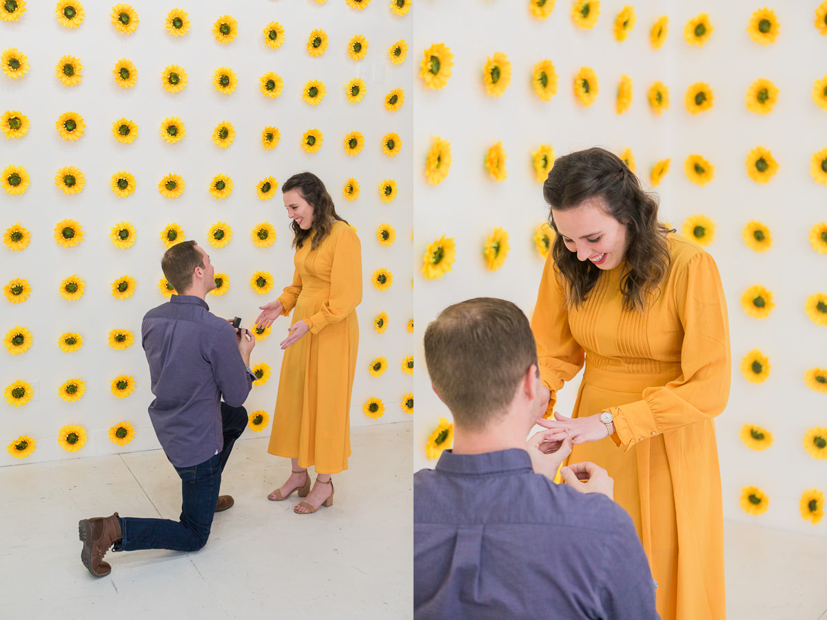 Sunflower Wall Proposal Pictures