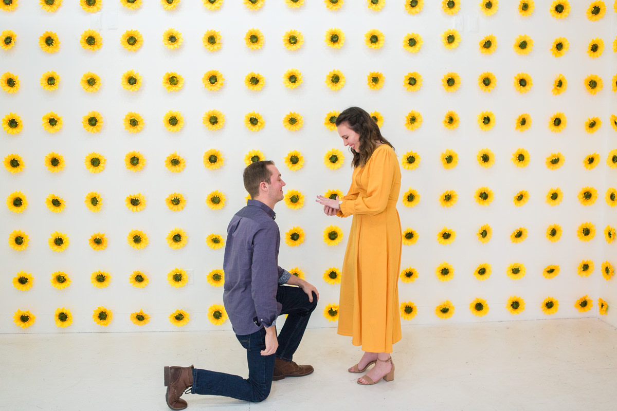 Flower Vault Sunflower Proposal Pictures