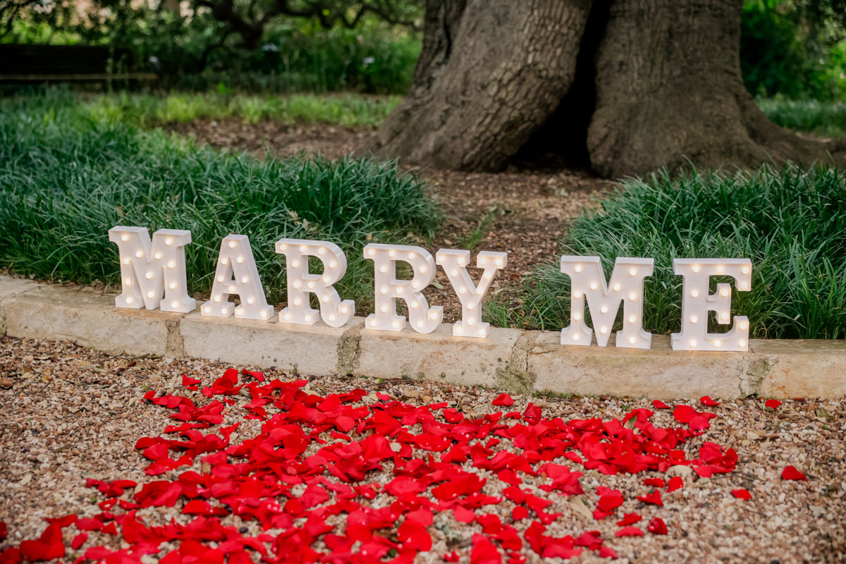 Red Roses Marry Me Light Up Sign