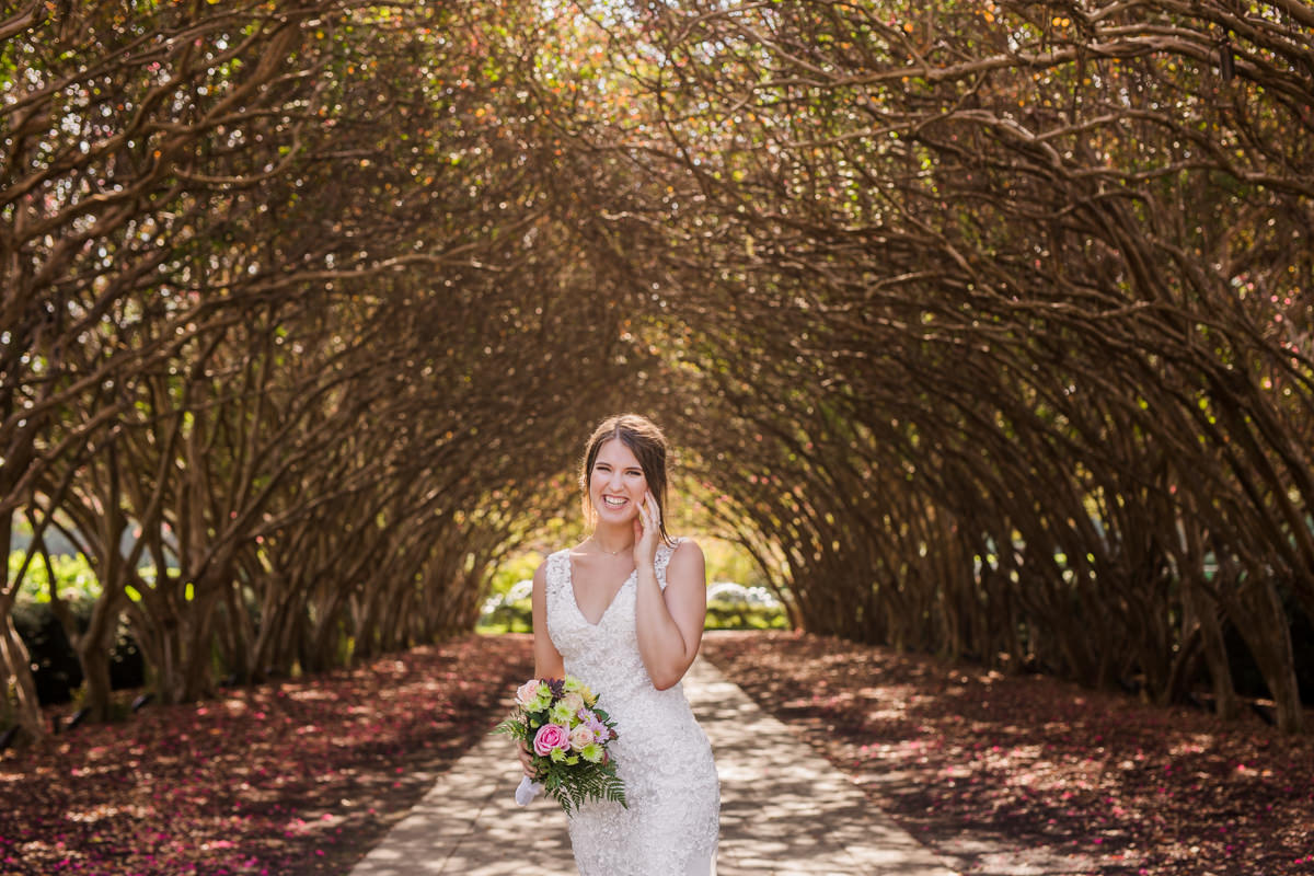 crepe myrtle alley