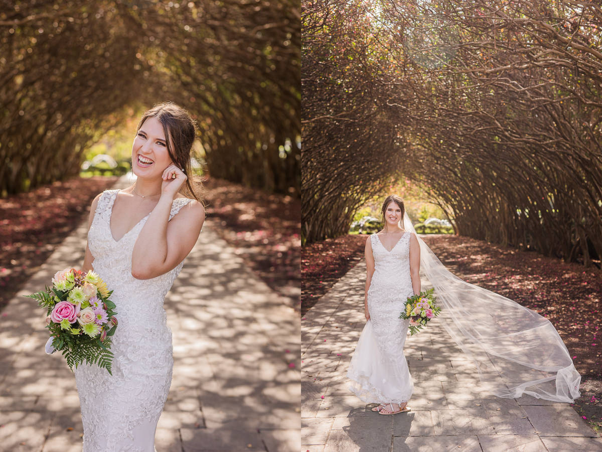 crepe myrtle alley