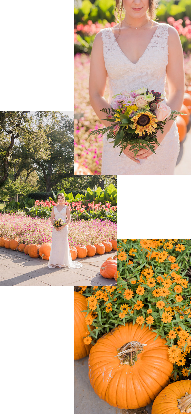 autumn fall pumpkin bridal photos