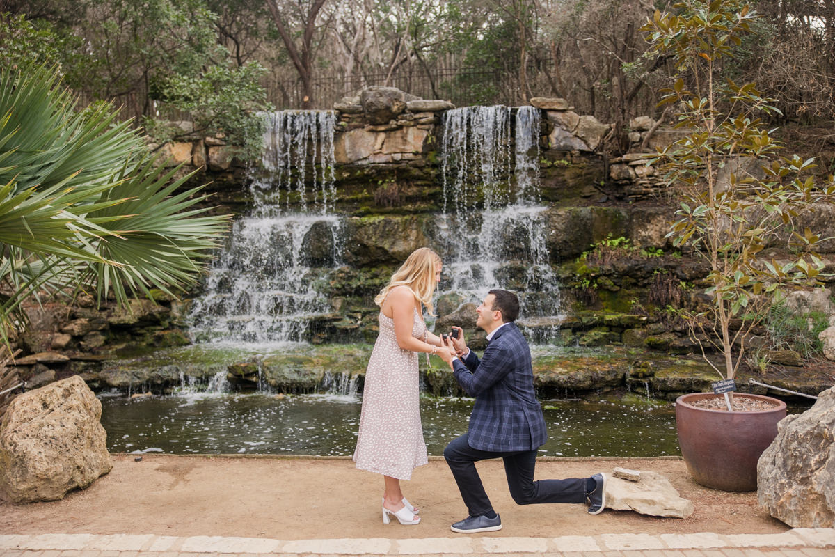 austin botanical garden marriage proposal engagement pictures | lauren garrison photography