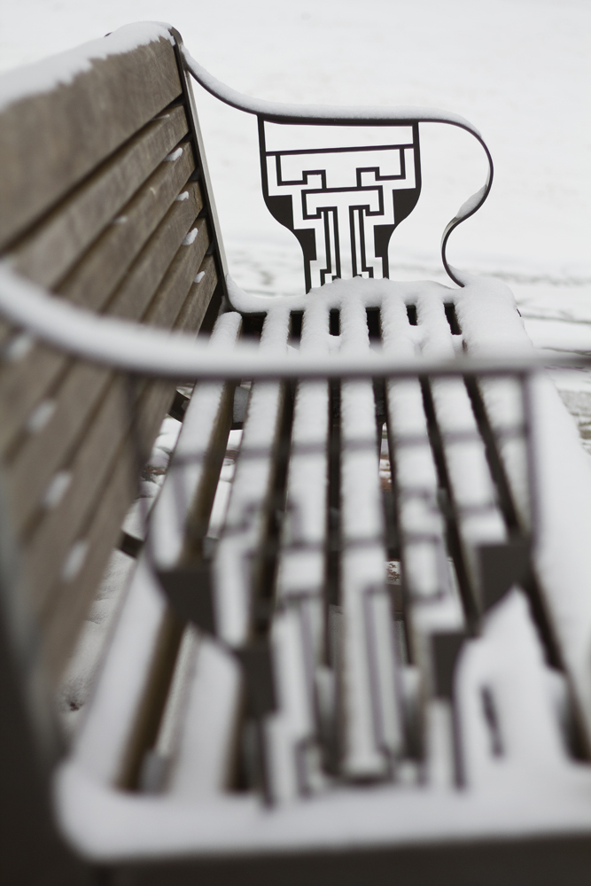 A bench is covered with snow near Memorial Circle on Texas Tech's campus on Feb. 2, 2014.