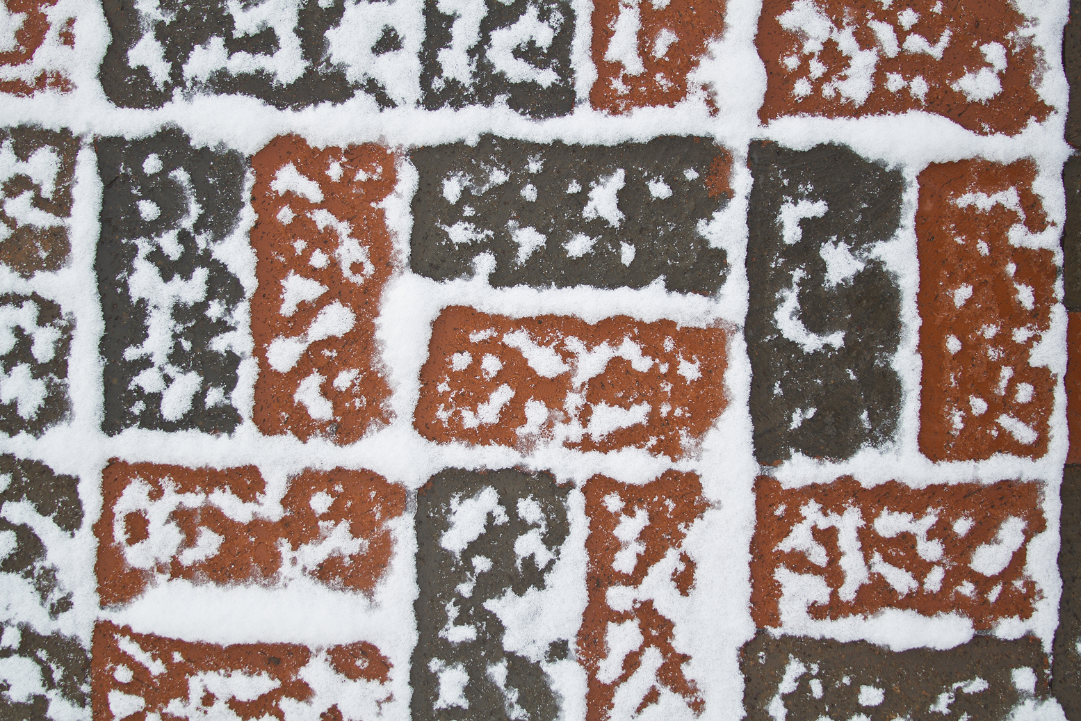 Snowy bricks on a sidewalk at Texas Tech.