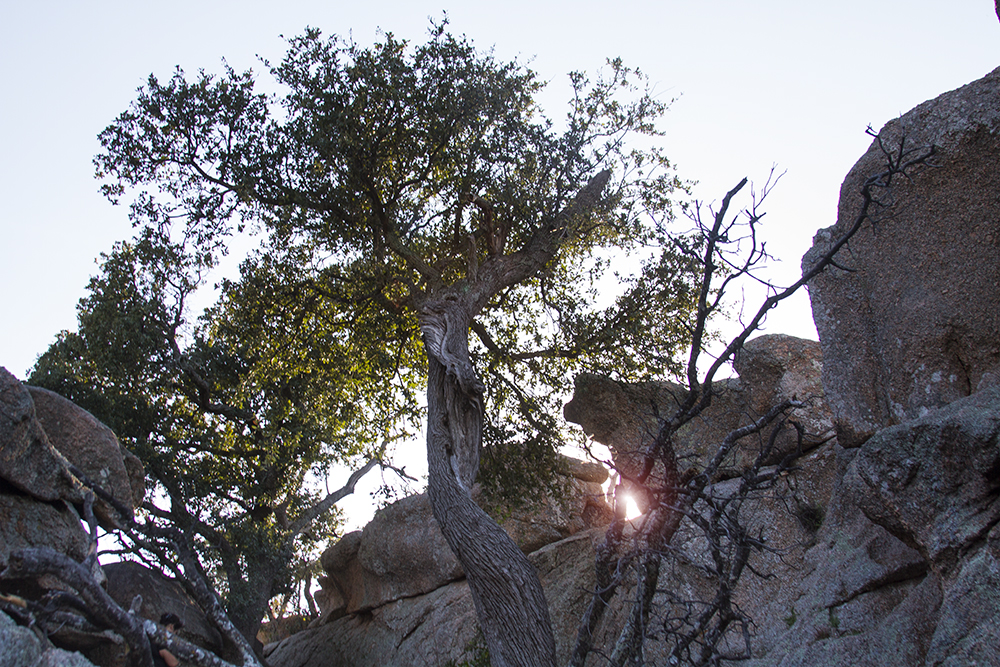Enchanted Rock. Fredericksburg, Texas. February 2015.