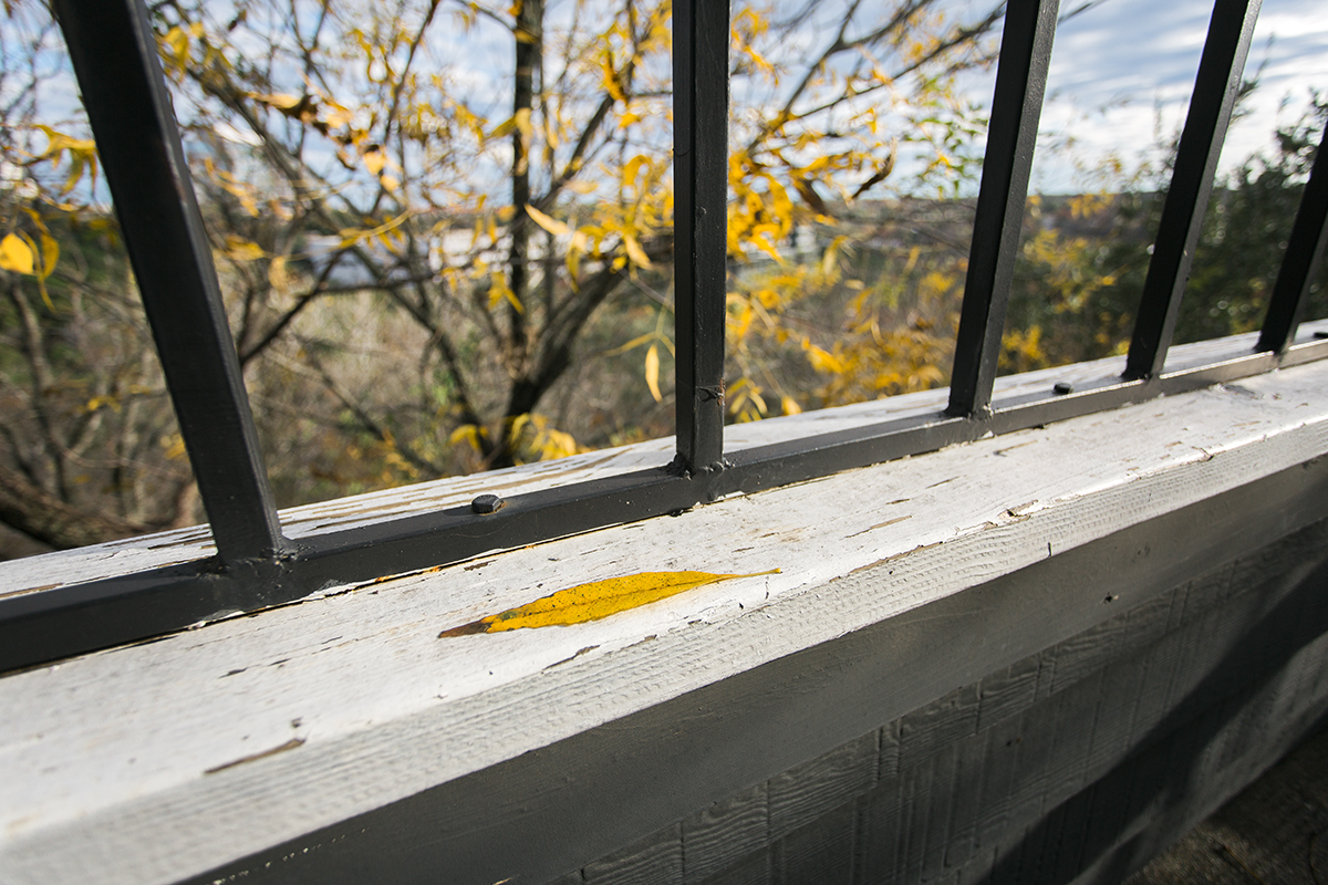 leaf on rail-1.wordpress