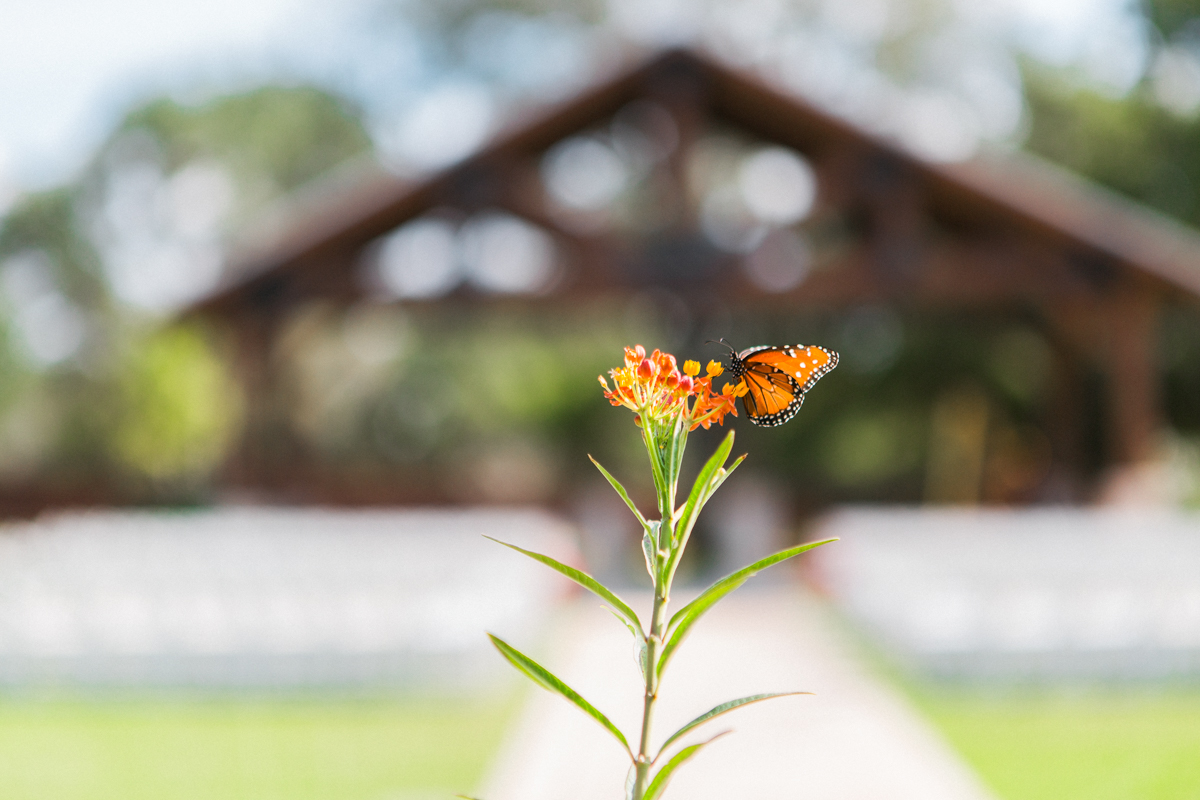 See more at www.laurengarrisonphotography.com
