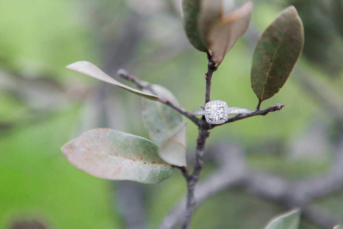 austin, texas engagement photos