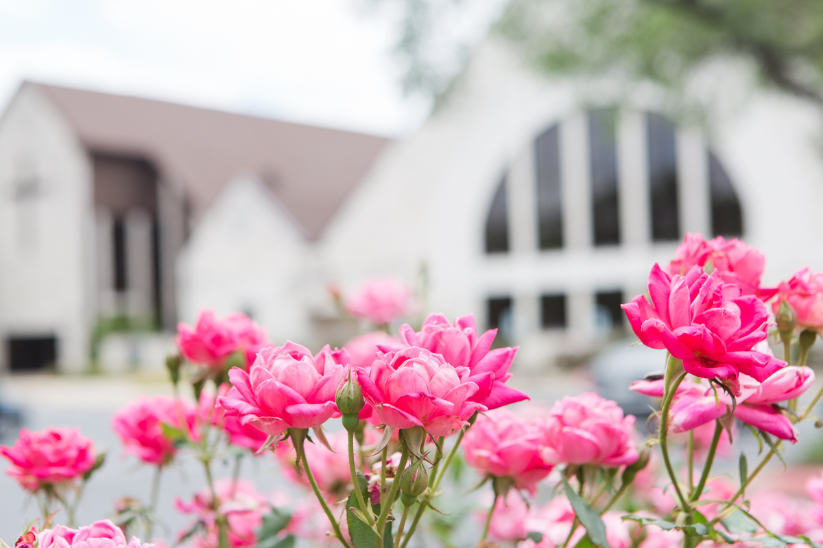kayla & jared wedding georgetown texas
