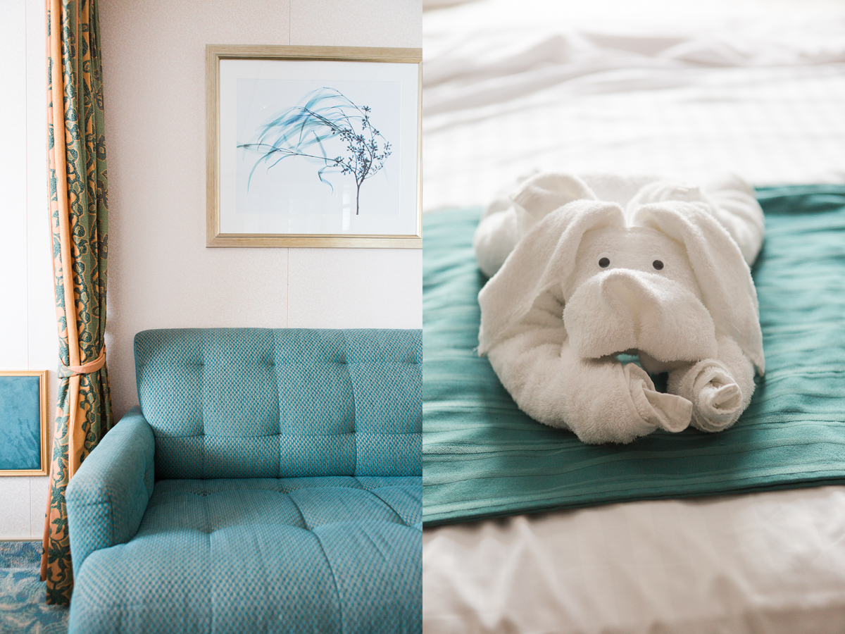 Royal Caribbean Towel Animal