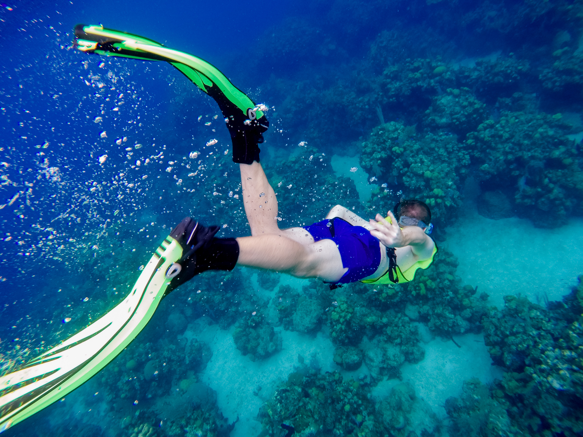 Snorkeling Roatan Honduras
