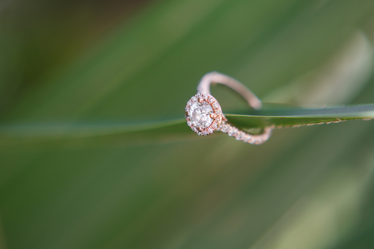 Rose Gold Green Wedding Details