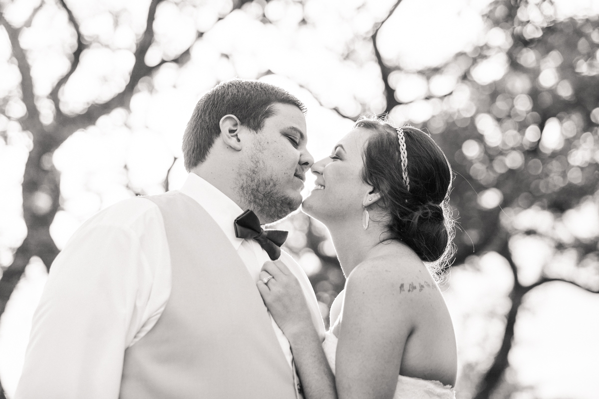 Amber & Steven's Wedding Photography