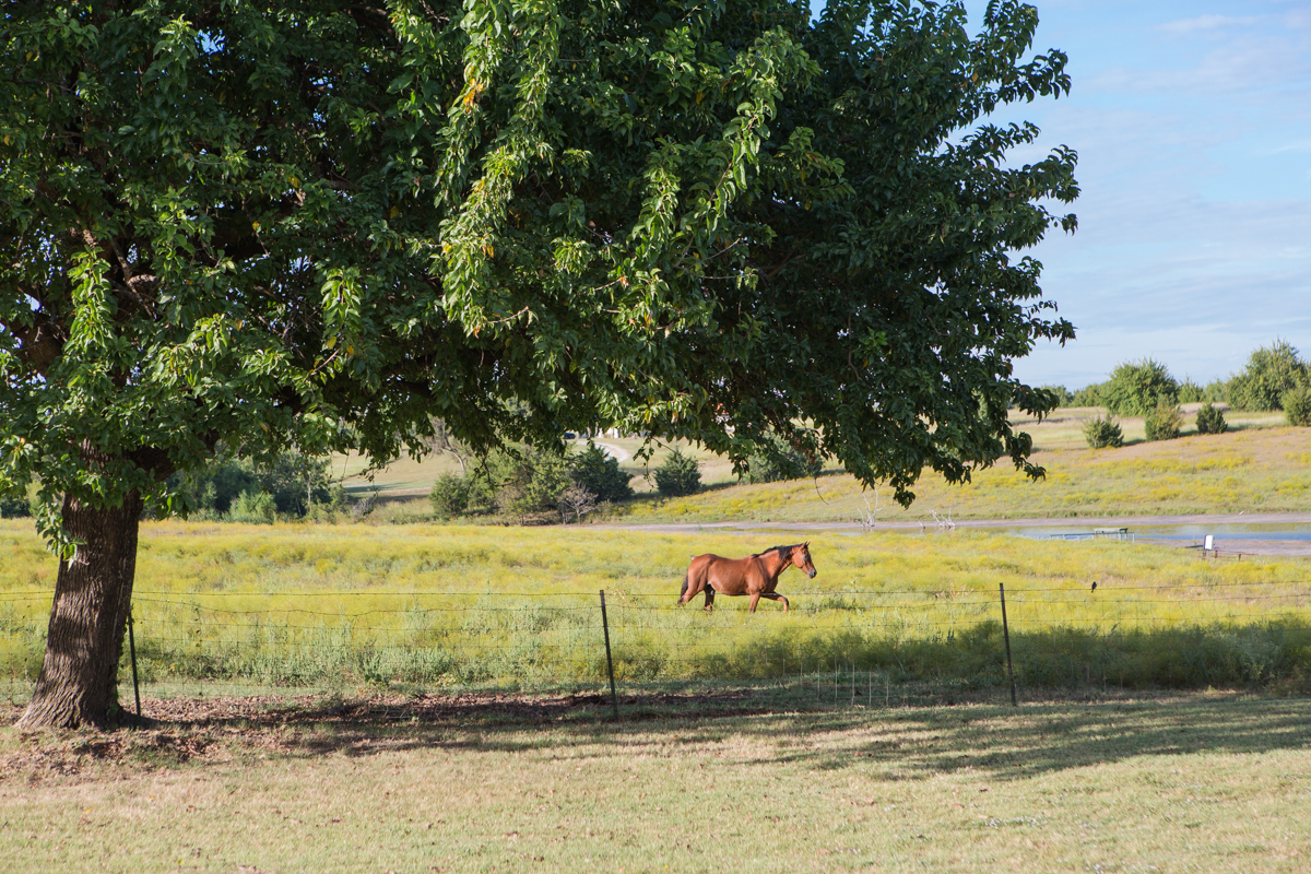 rustic grace estate photography