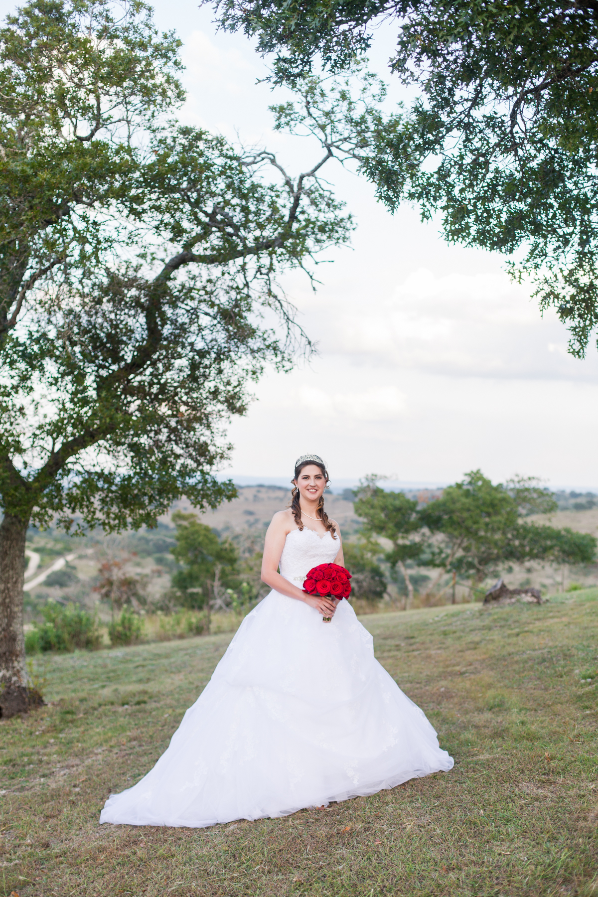 Disney Wedding Dress