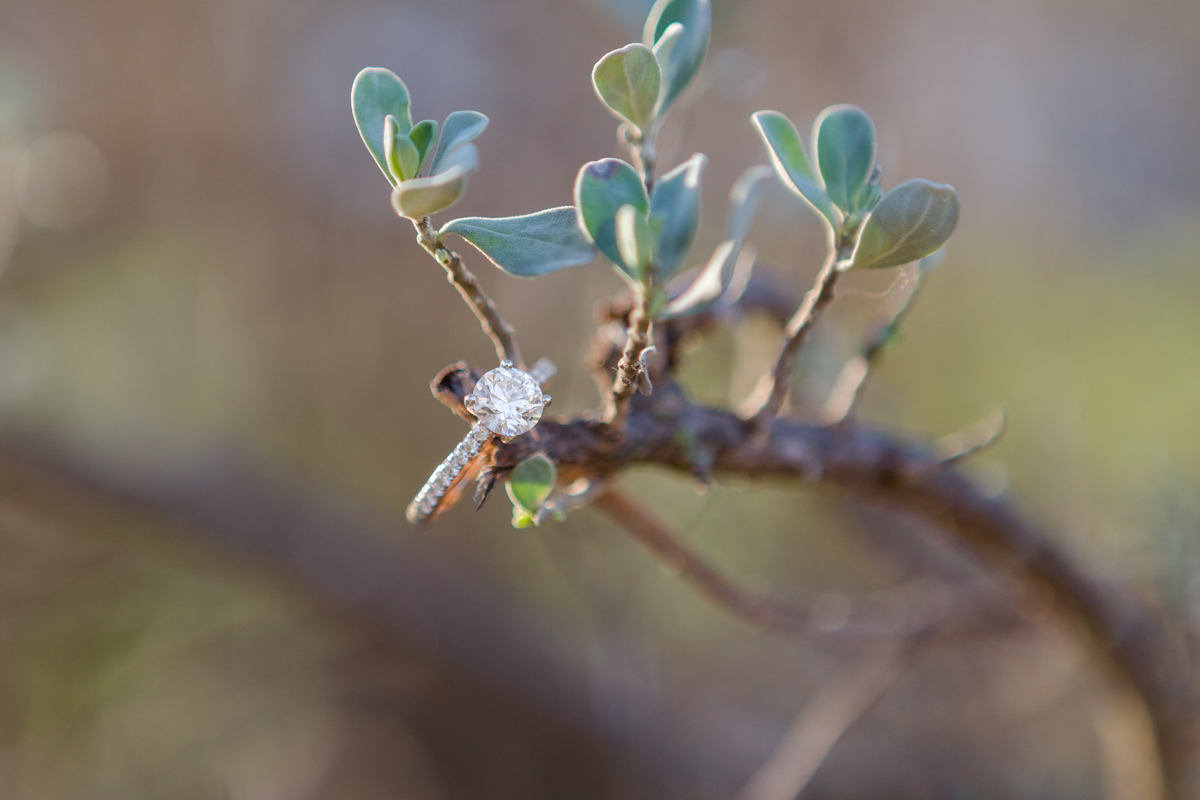 engagement ring photography