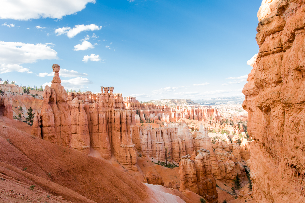 Bryce Canyon sunset