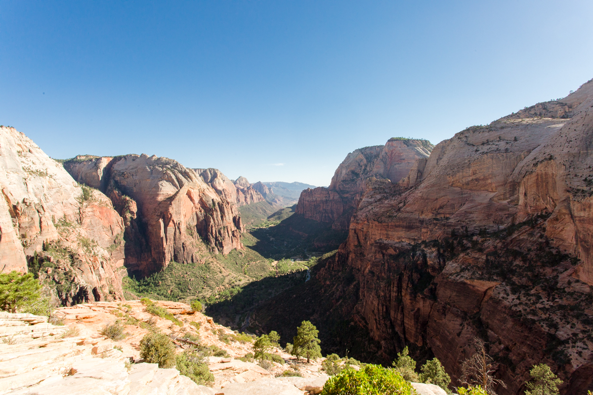 Zion angel’s landing photography