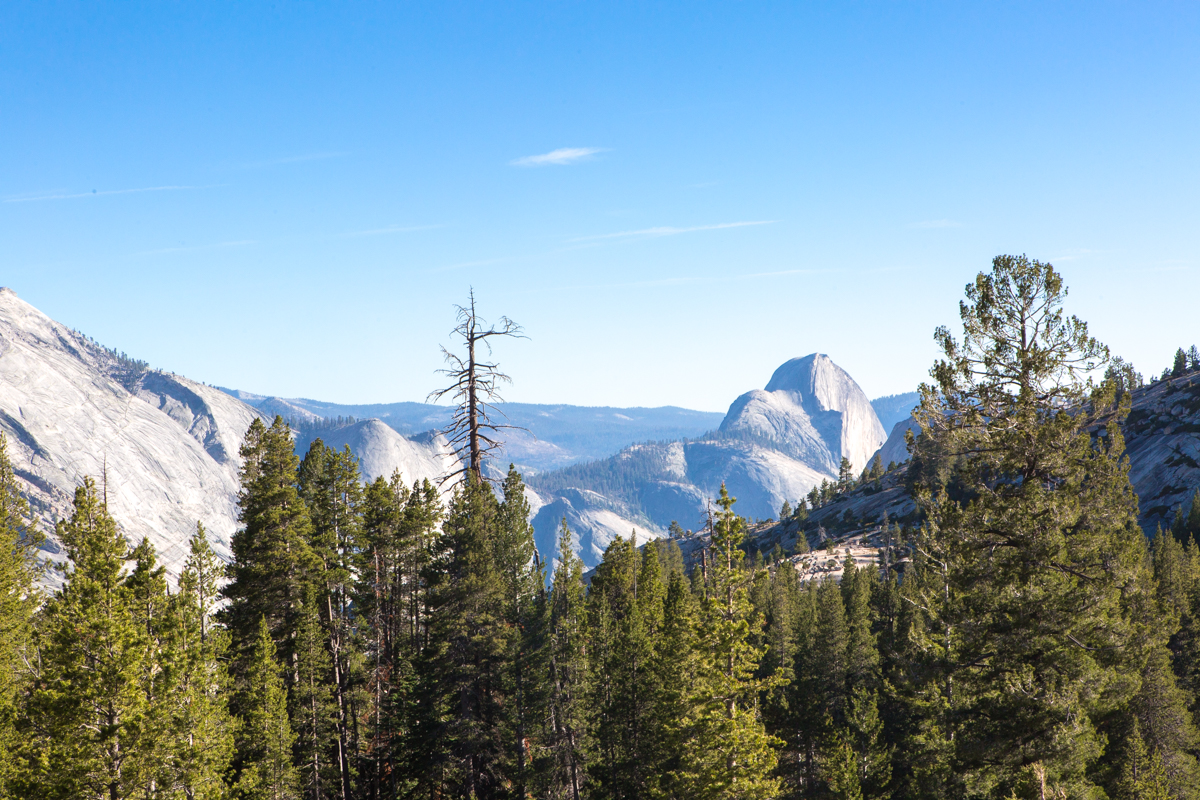 yosemite national park east entrance