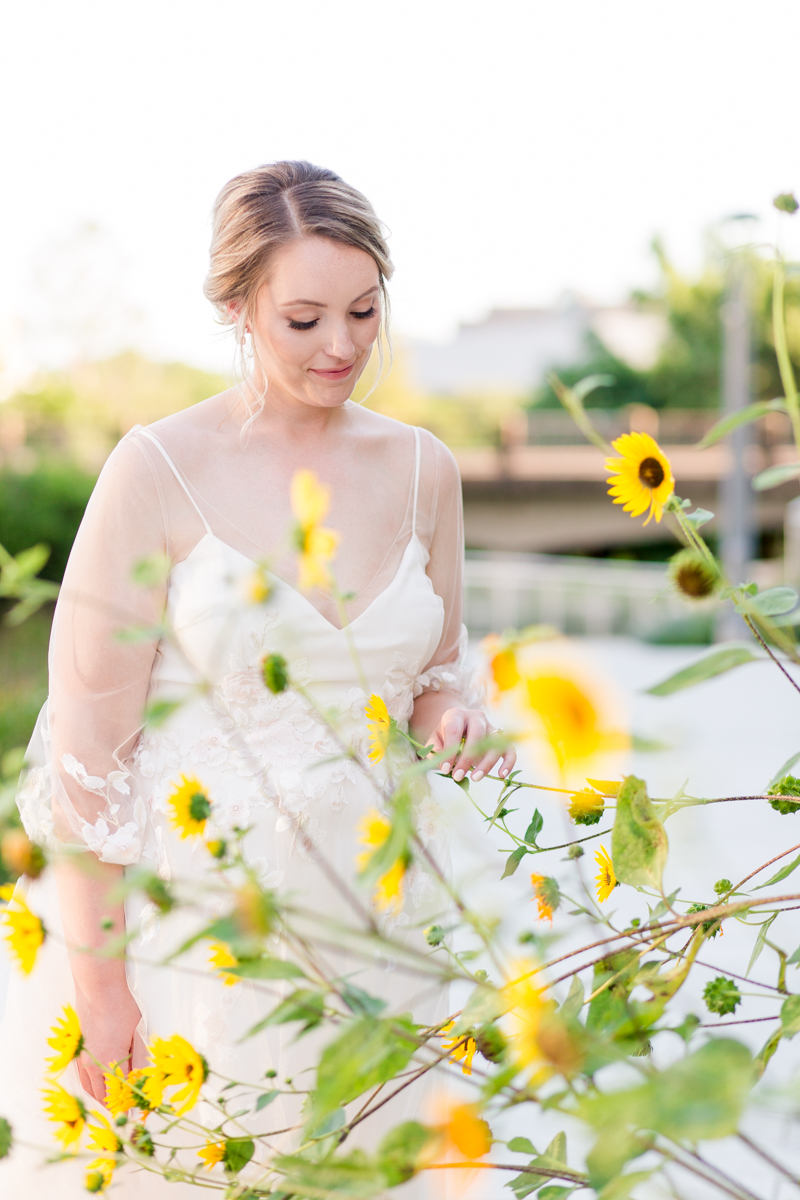 Austin Texas Summer Bridal Pictures Sunflower