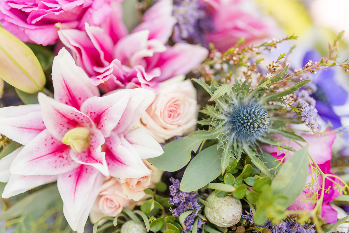 Pink Purple Flowers