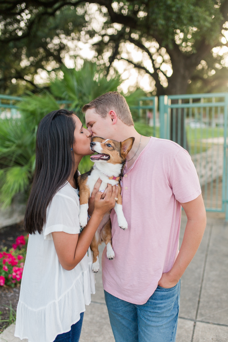 Dog Engagement Pictures