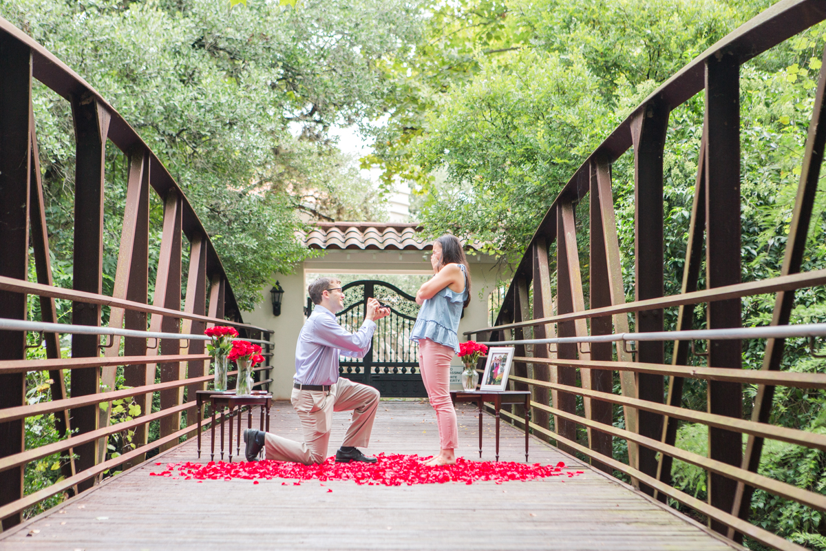 Austin Proposal Photography