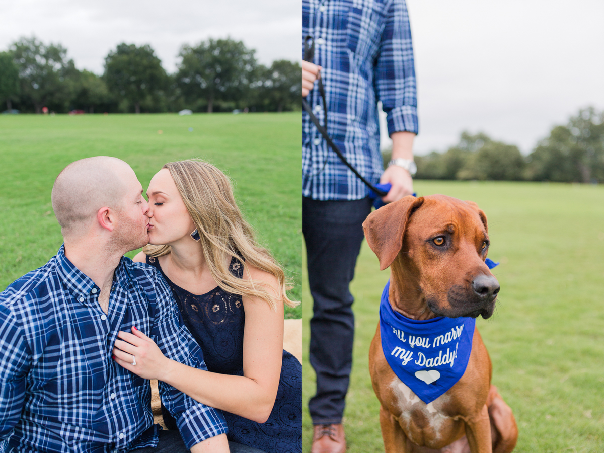 Zilker Dog Proposal