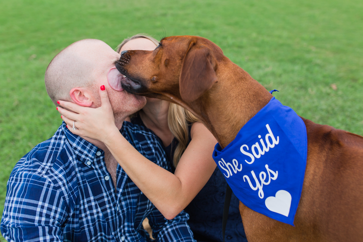 She Said Yes Dog Bandana