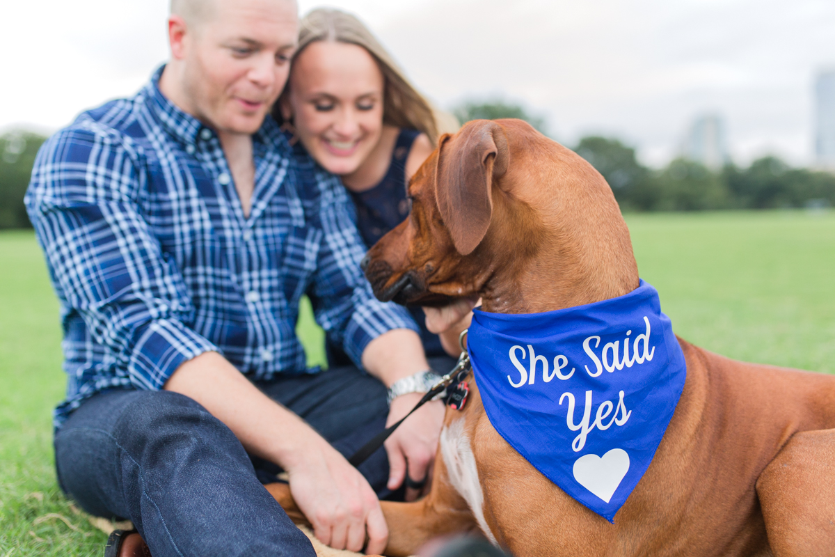 She Said Yes Dog Bandana