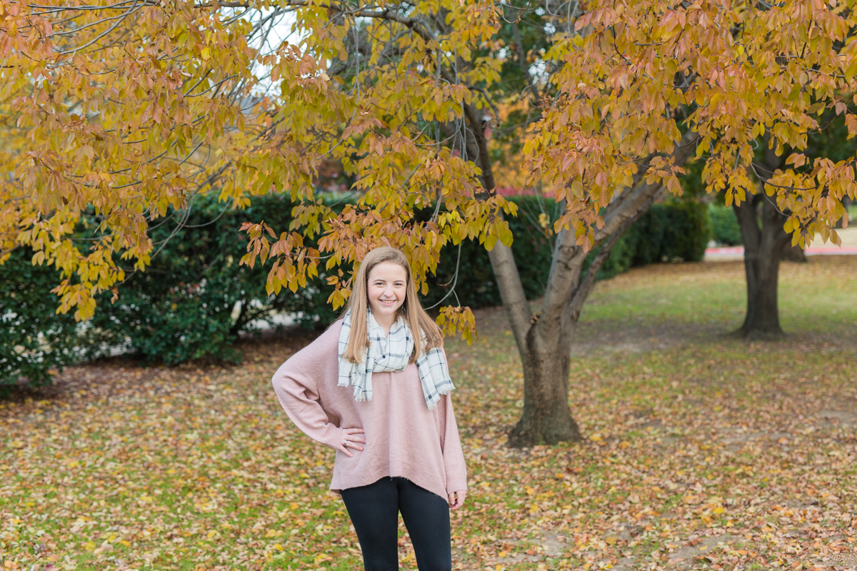Fall leaves 