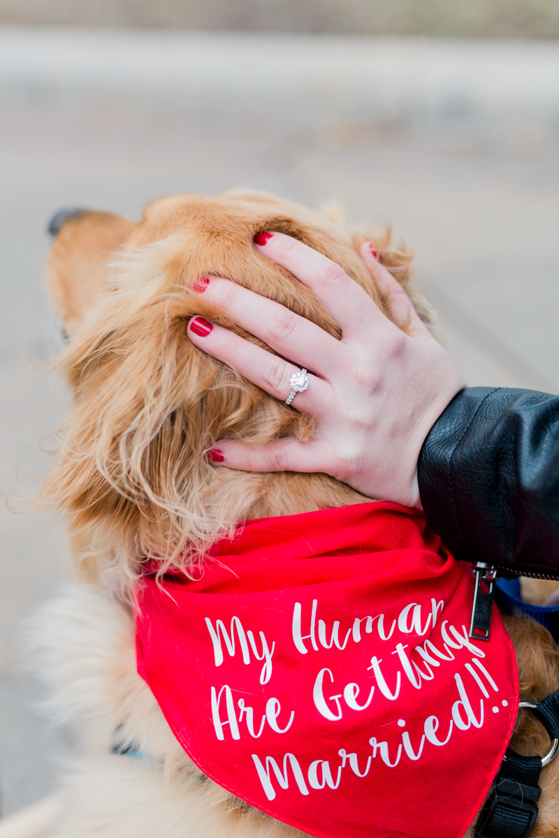 Lauren Garrison Photography Proposal