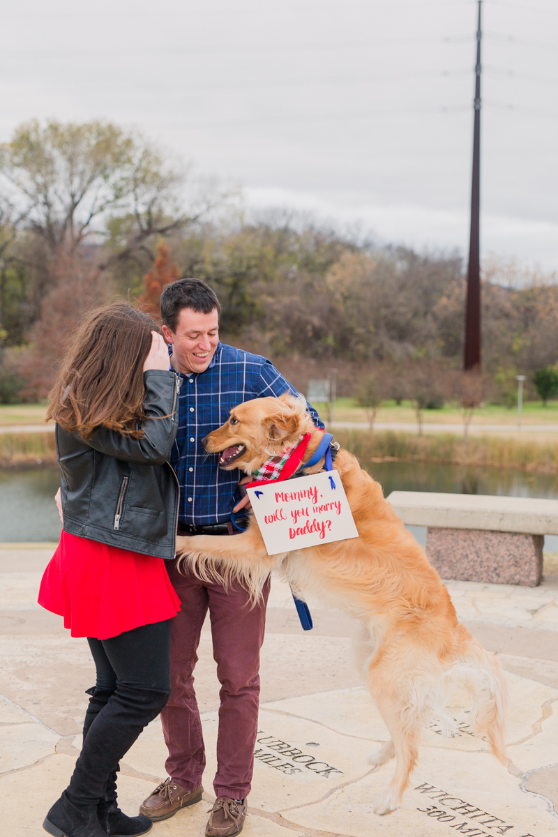 Proposal with dog idea
