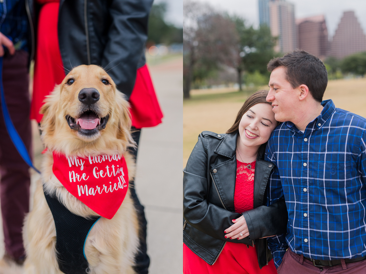 Dog Proposal Austin