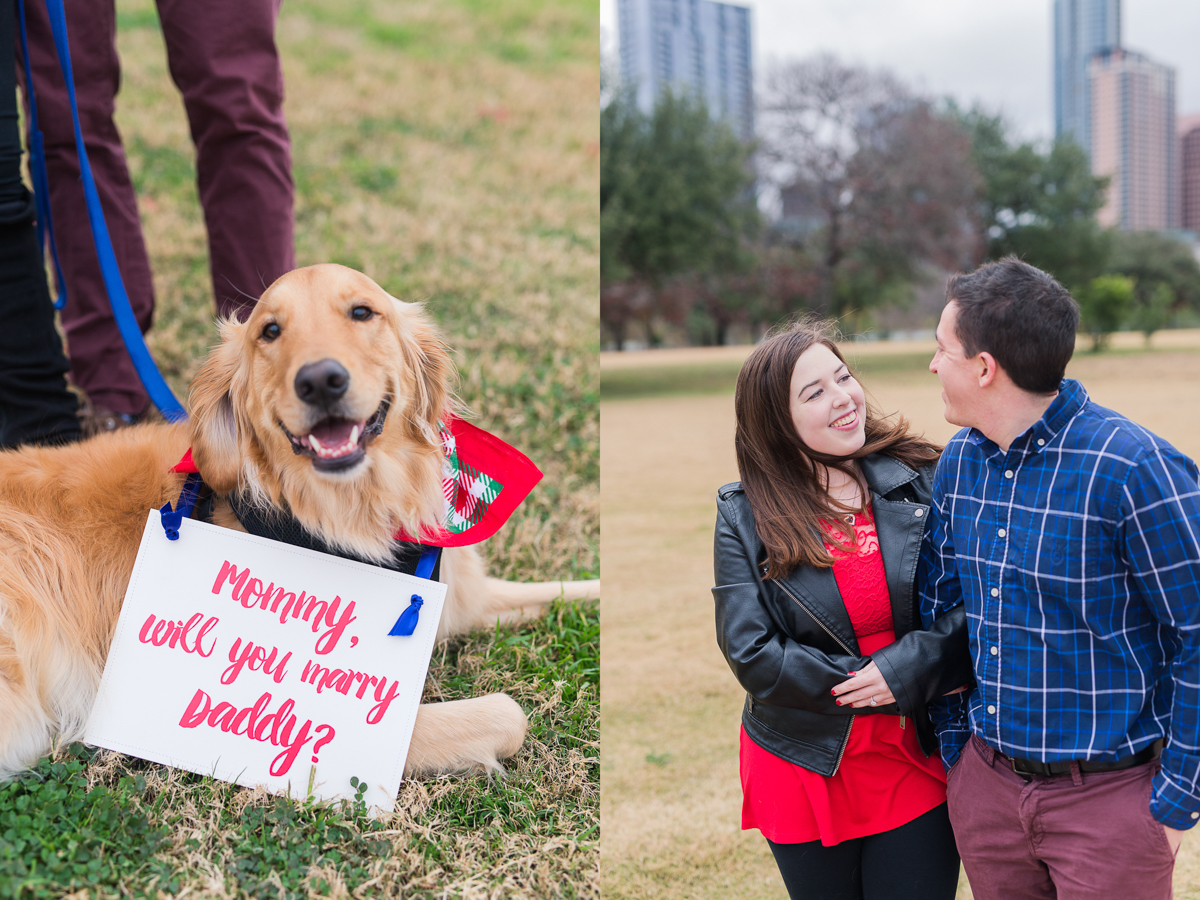 Sign for Dog at Marriage Proposal