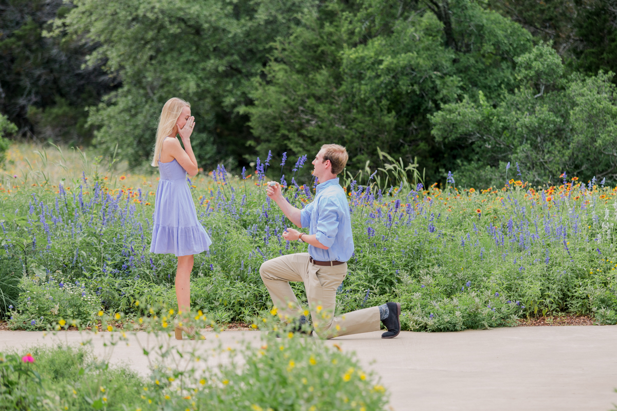 Lady Bird Johnson Wildflower Center Proposal