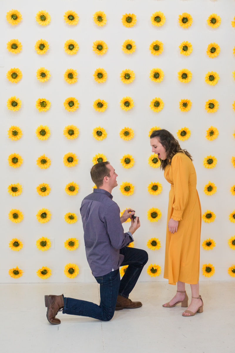 Flower Vault Austin Proposal Photos