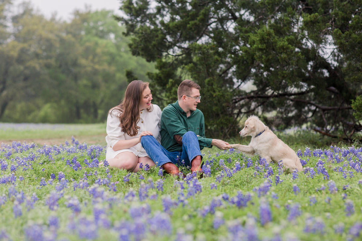 Austin Texas Bluebonnet Spring Mini-Photos
