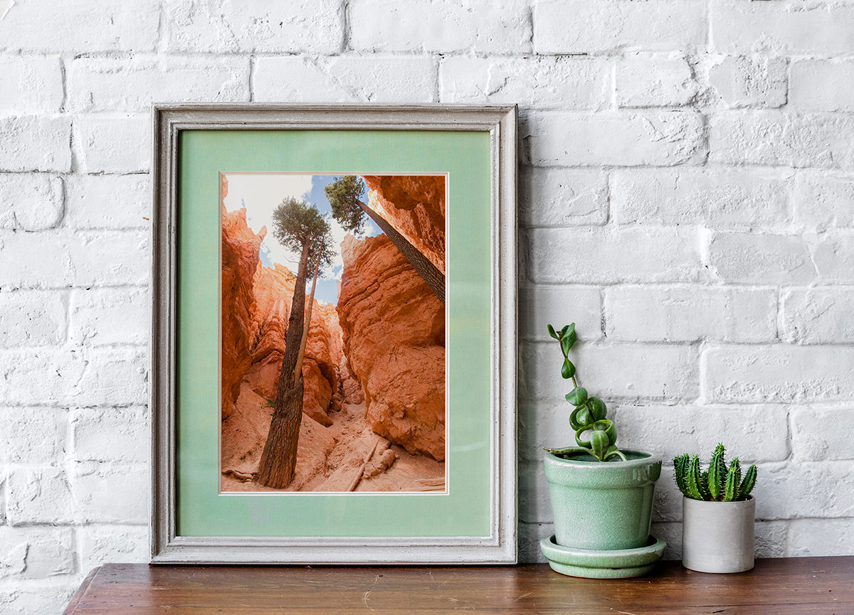 Bryce National National Park Art Print