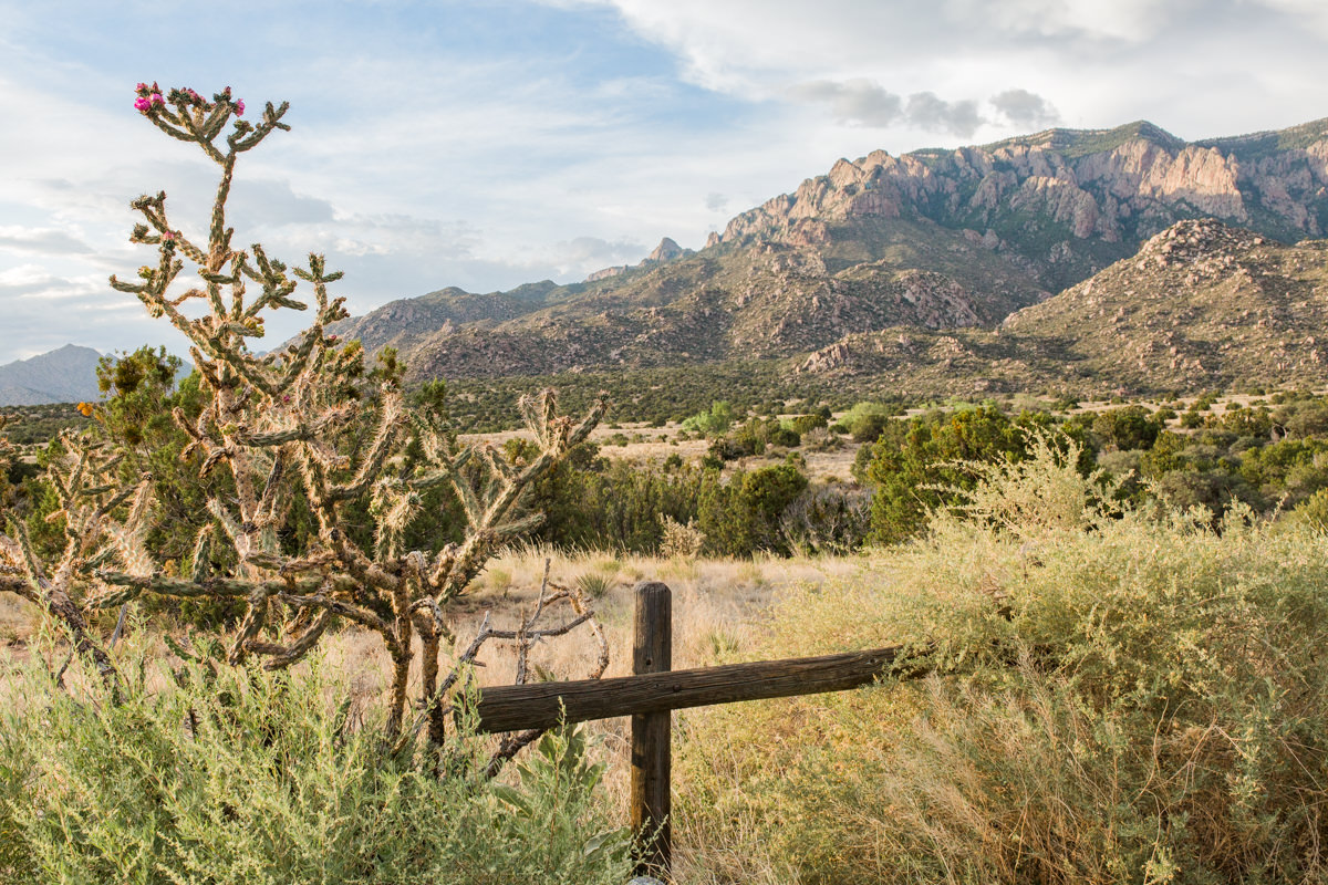 colorado new mexico road trip