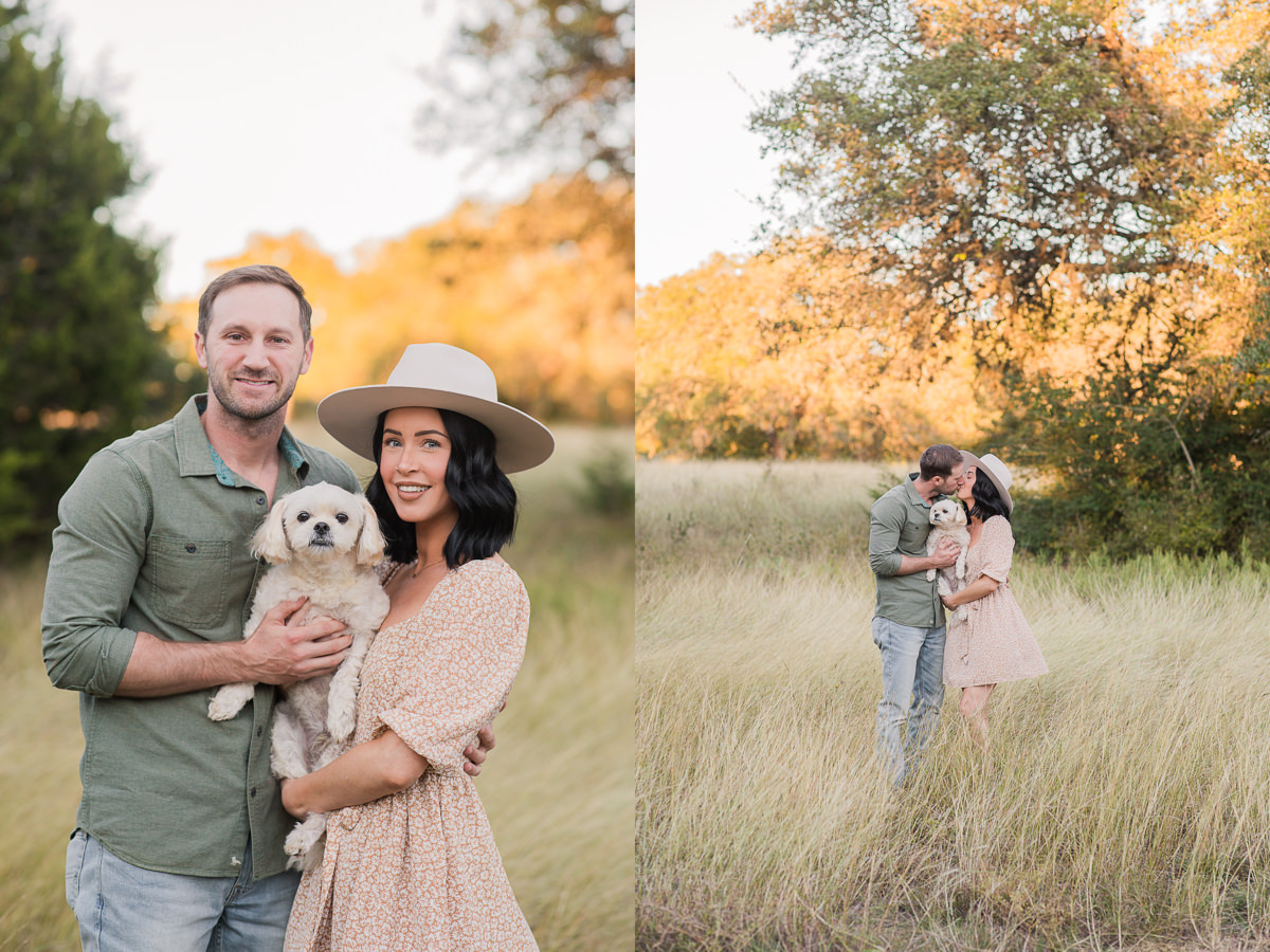 stylish sunset golden field dog mini-session