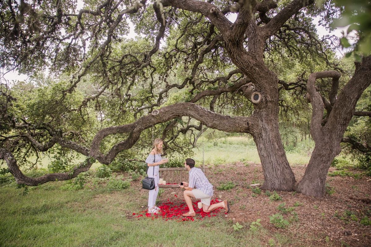Best Places to Propose in Austin, Texas - Fall Creek Vineyards Winery